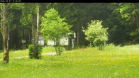 Archiv Foto Webcam Waldpension Am Schwefelbach 11:00