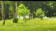 Archiv Foto Webcam Waldpension Am Schwefelbach 11:00