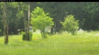 Archiv Foto Webcam Waldpension Am Schwefelbach 13:00