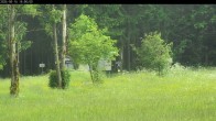Archiv Foto Webcam Waldpension Am Schwefelbach 15:00