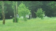 Archiv Foto Webcam Waldpension Am Schwefelbach 17:00