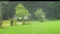 Archiv Foto Webcam Waldpension Am Schwefelbach 11:00