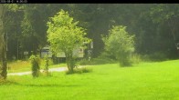 Archiv Foto Webcam Waldpension Am Schwefelbach 13:00