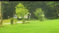 Archiv Foto Webcam Waldpension Am Schwefelbach 09:00