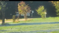 Archiv Foto Webcam Waldpension Am Schwefelbach 08:00