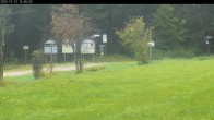 Archiv Foto Webcam Waldpension Am Schwefelbach 11:00