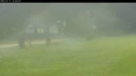 Archiv Foto Webcam Waldpension Am Schwefelbach 11:00
