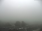 Archiv Foto Webcam IFA Ferienpark, Schöneck 13:00