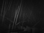 Archived image Webcam Hotel Rosenhof Schöneck 01:00