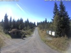 Archived image Webcam Johanngeorgenstadt Butterweg 11:00