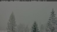 Archiv Foto Webcam Gargellen - Schafberg 09:00