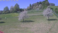Archiv Foto Webcam Römerstein Bobbahn 11:00