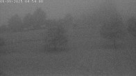 Archiv Foto Webcam Römerstein Bobbahn 01:00