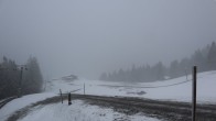 Archived image Webcam Unken: Heutal Mountain 15:00