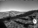 Archived image Webcam Hiking path Imbergkamm, Oberstaufen 01:00