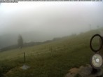 Archived image Webcam Hiking path Imbergkamm, Oberstaufen 06:00