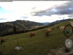 Archiv Foto Webcam Wanderweg Imbergkamm 17:00