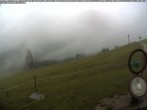 Archiv Foto Webcam Wanderweg Imbergkamm 11:00