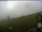 Archiv Foto Webcam Wanderweg Imbergkamm 11:00