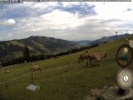 Archiv Foto Webcam Wanderweg Imbergkamm 11:00