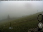 Archiv Foto Webcam Wanderweg Imbergkamm 13:00