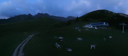 Archiv Foto Webcam Goldknopf auf der Seiser Alm 03:00