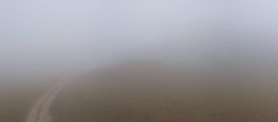 Archived image Webcam Goldknopf - Alpe di Siusi 11:00