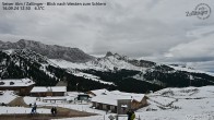 Archived image Webcam Almgasthof Zallinger 11:00