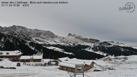 Archiv Foto Webcam Almgasthof Zallinger (Dolomiten) 11:00