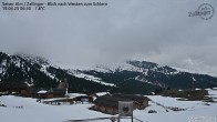 Archived image Webcam Almgasthof Zallinger 05:00