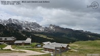 Archived image Webcam Almgasthof Zallinger 11:00