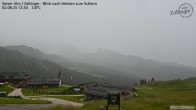Archiv Foto Webcam Almgasthof Zallinger (Dolomiten) 11:00