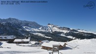 Archived image Webcam Almgasthof Zallinger 11:00