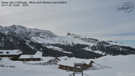 Archiv Foto Webcam Almgasthof Zallinger (Dolomiten) 11:00
