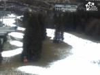 Archived image Webcam Winterberg: View of Herrlohkopf 13:00