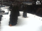 Archiv Foto Webcam Winterberg: Blick Herrlohkopf 13:00