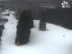 Archived image Webcam Winterberg: View of Herrlohkopf 13:00