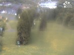 Archiv Foto Webcam Winterberg: Blick Herrlohkopf 11:00