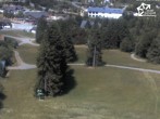 Archiv Foto Webcam Winterberg: Blick Herrlohkopf 11:00