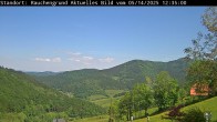 Archived image Webcam &#34;Rauchengrund&#34; 11:00