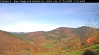 Archiv Foto Webcam Elzach 11:00