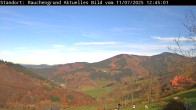 Archiv Foto Webcam Elzach 11:00