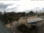 Archived image Webcam Beach Promenade at Trassenheide - Usedom 09:00