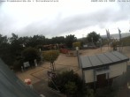 Archived image Webcam Beach Promenade at Trassenheide - Usedom 09:00