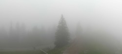 Archiv Foto Webcam Thollon les Memises 11:00