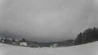 Archiv Foto Webcam Neureichenau 11:00