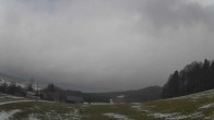 Archiv Foto Webcam Neureichenau 11:00