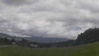Archiv Foto Webcam Neureichenau 11:00