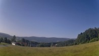 Archiv Foto Webcam Neureichenau 17:00