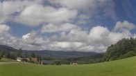 Archiv Foto Webcam Neureichenau 15:00